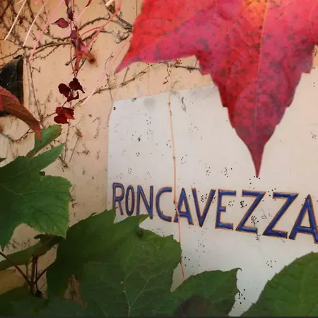 Roncavezzai *